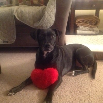 cstraine527's profile picture. 