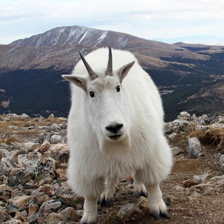 MartyGfunk's profile picture. 