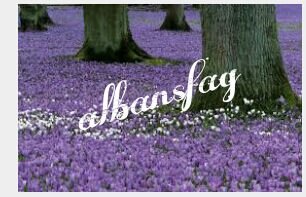 ‏♡البنسفج♡لكل ماهو مميز،، ♥♥0534029513 للتواصل واتس فقط فاهلا وسهلا بكم