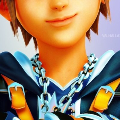 The kingdom hearts lover the best game ever is kh like its the best i love the while series