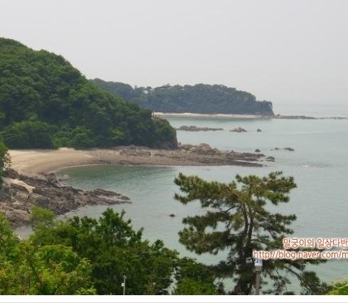 가수 이미자 아니예요. 그냥 김포사는 아줌마도 아니에요 노래교실 강사에요