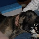 DeanGee - @DeanGee2 - Twitter