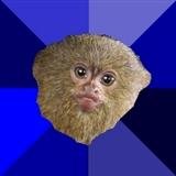 mramarmoset Profile Picture