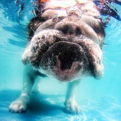 simply_avl's profile picture. I believe in the power of good, the power of hate and the power charging my Apple