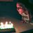 S_Gint's profile image