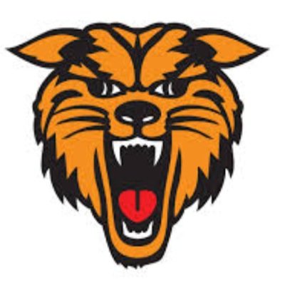 NBWildcats Profile Picture