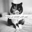 jAzWa (@23233Goog) Twitter