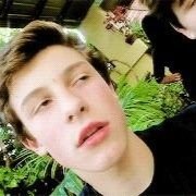@905mendes