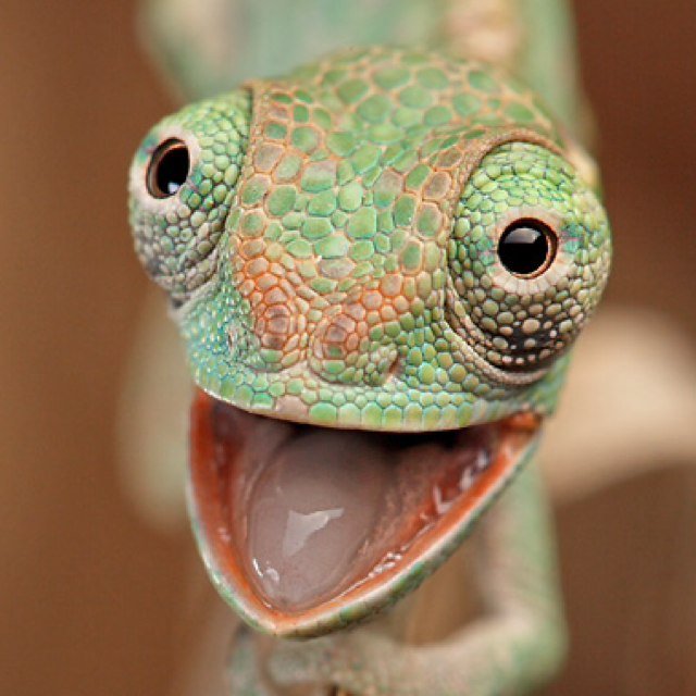 deLightedOnFire's profile picture. The adventures of one nerd building an entire continent from scratch, see @ashenApocalypse