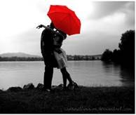 All the words I'll never say to you. 
~I Follow Back~