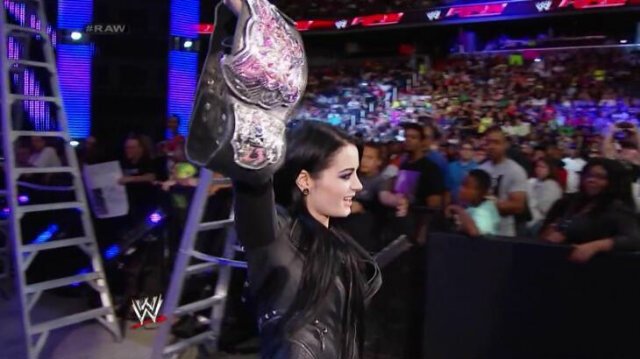 My favortie superstars:Paige,John Cena,Daniel Bryan,The Rock,Chris Jericho,Rey Mysterio,Sin Cara,and the Deadman,Undertaker!