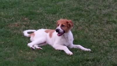 sherryhr's profile picture. 