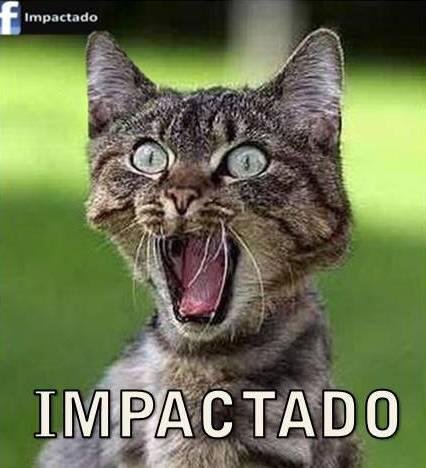 Pitos grandes Pitos grandes