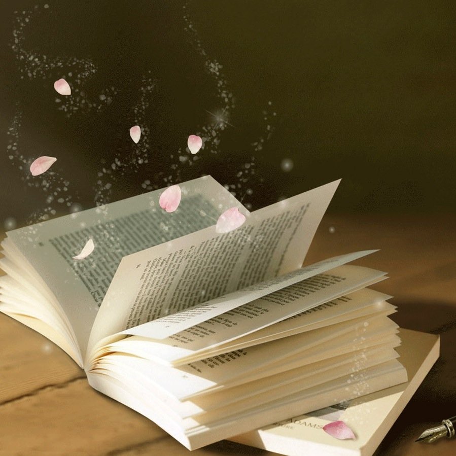 Ever wished you could find out what happens after your favorite book ends? Now you can. {Roles have yet to be set}