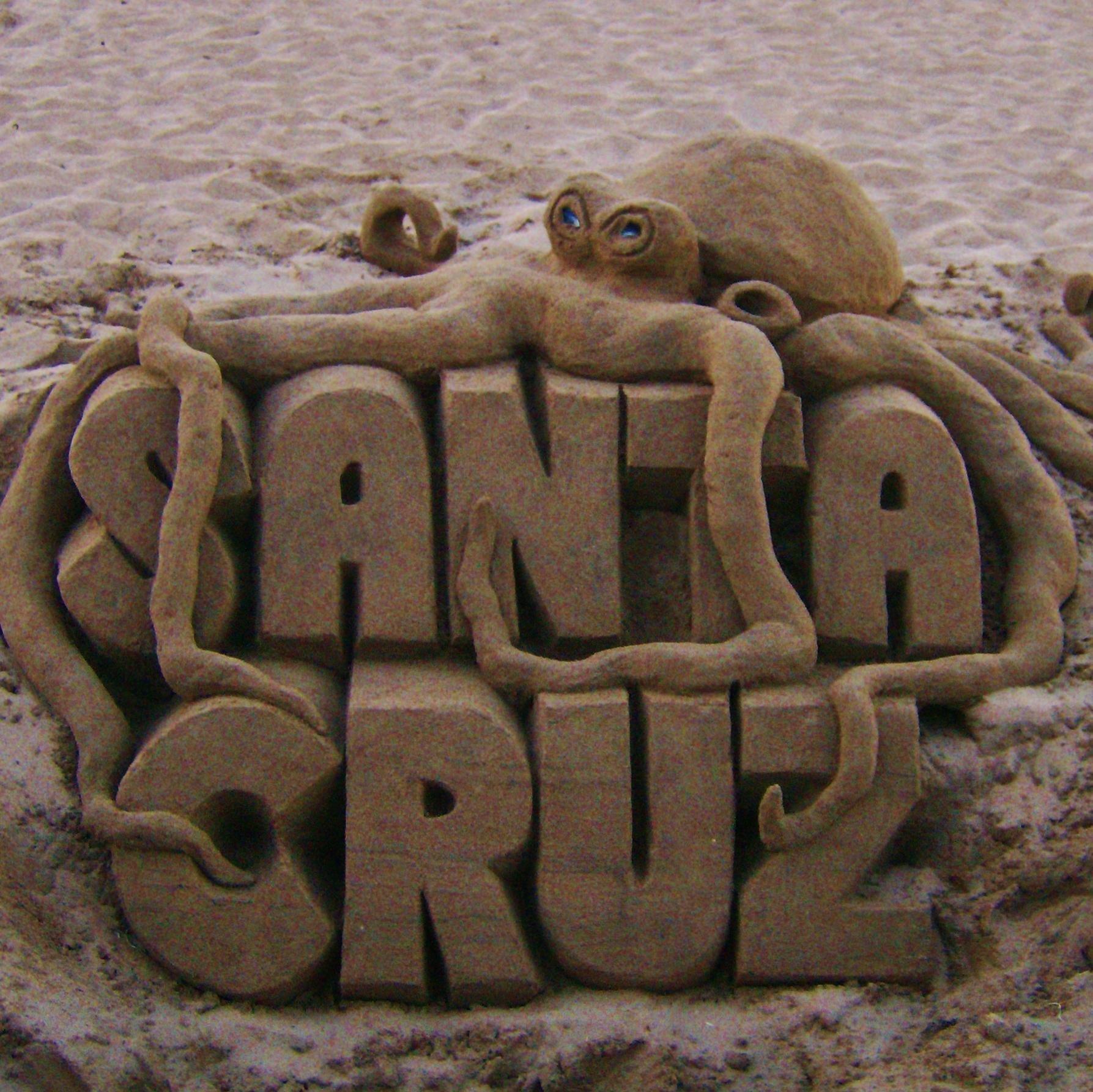 SantaCruzSandCA's profile picture. Sand Sculptor