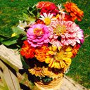 Lori Pritt - @MamawLori - Twitter