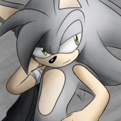 Im somber the hedgehog a strong hedgehog and loves to do adventures #single