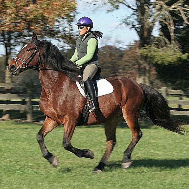 LaGioconda1506's profile picture. Artist, equestrian, world traveler, bibliophile, teacher, gym rat, proud mom, married a rocket scientist. Never judges a book by its movie.