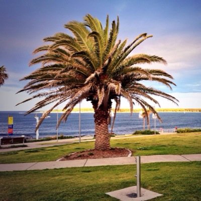 Have anything interesting happening or pix taken  of #cronulla let us know and we will re tweet