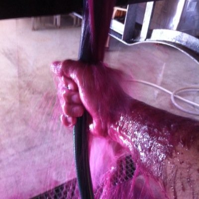 Micro boutique vineyard and winery specialising in Spanish and Rhone varieties - punching above its weight!