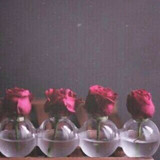 كُـن رَاقِياً ؛ بَفكركْ ؛ بَ كتَابَاتكَ ؛ بَ أفعَالكْ ؛ أخَلآقكْ ؛ سَتجَذبّ إلِيكَ قُلُوبّ النَاسْ ؛ وإنْ كَانُوآ لآ يَعرفُونْ عَنكَ ،،❕