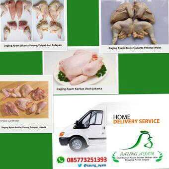 Distributor Ayam Broiler Segar Terbaik dan Terbesar di Jakarta || Pengiriman Gratis Ongkos Kirim ke seluruh wilayah Jakarta (S&K berlaku) | SMS/WA: 085773251393