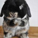 Gavin estes - @12a09042008945c - Twitter