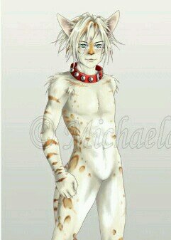 HeftyTom's profile picture. Street tom. I don't know where I belong to.