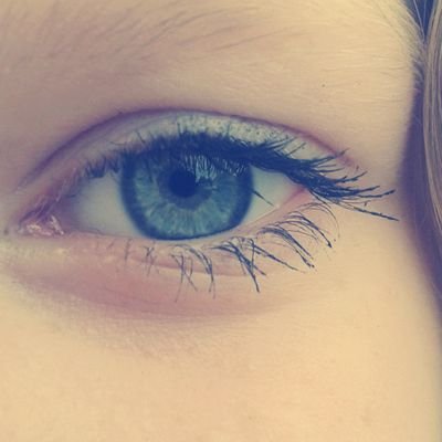 laurascholz24's profile picture. 