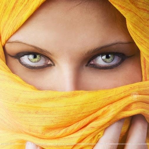 updatewanita's profile picture. 