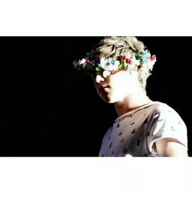 Niall vi regala pizze, andate a casa sua.