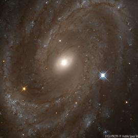 saddam497's profile picture. 