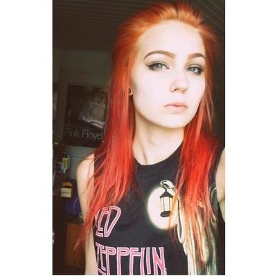 i like cats and Kurt  Cobain