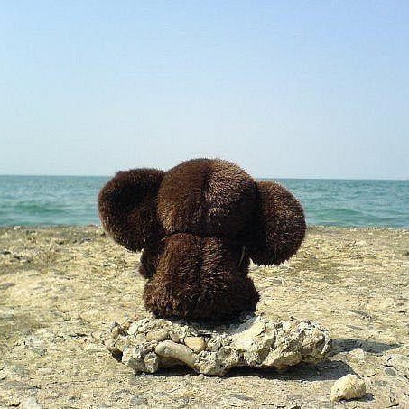 Попробуй море !