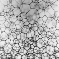 FOAMrad (@foamrad) 's Twitter Profile