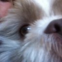 harry nunn - @hazernunn - Twitter