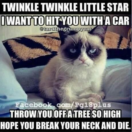 mirandapierce95's profile picture. 