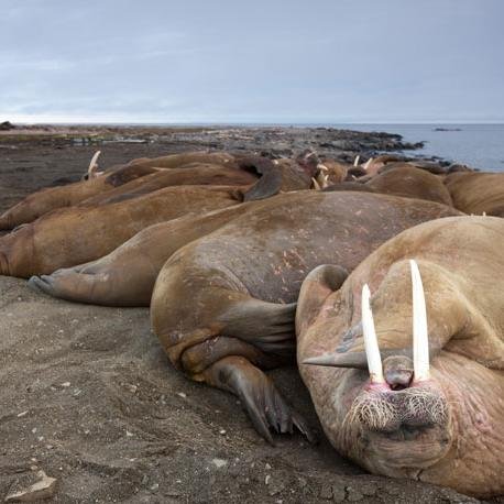 wuttapsa's profile picture. 