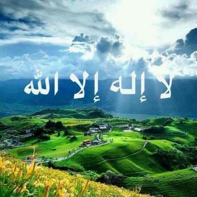 abdulazizalqa19's profile picture. 