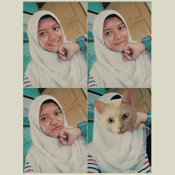 Vikcy