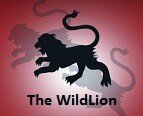 Tienda de Tecnologia China. The WildLion es Gold Power Seller en articulos procedentes de China.