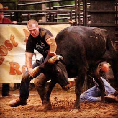 D4Jose's profile picture. 