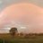 Whyenbah's profile image