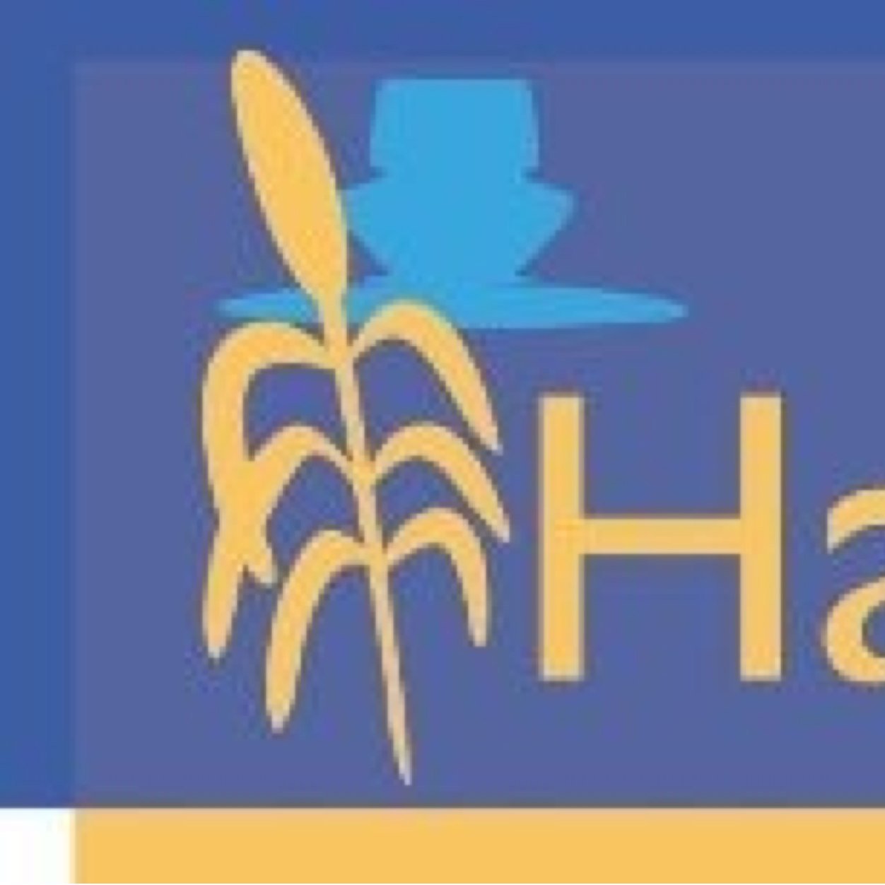 Specialists in residential and commercial letting and management.
Not part of a box ticking national chain!