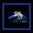 pxxxivi's profile image
