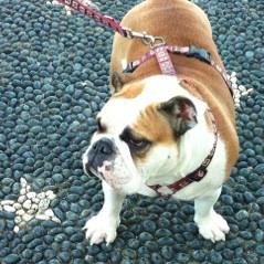 PieroDogalize's profile picture. Ognuno di noi è le risposte alle domande che si pone
https://t.co/fNR5KOP3oT
https://t.co/sml4wQg6dl
https://t.co/aU1r44yv3F