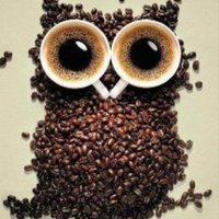 Astroloji (@134burc) 's Twitter Profile