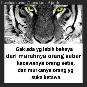 ETNIEZ...