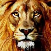 simba6868's profile picture. 