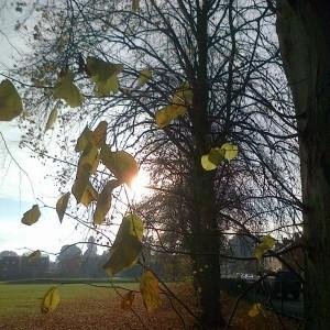 Oswestry park events : what's on in Oswestry - check out the many fun days in Cae Glas park . all views our own (from an ice cream trike)